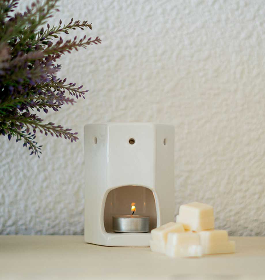 Wood Smoke & Leather Wax Melt 6 Pack