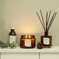 Eucalyptus & Pine Diffuser In Gift Box