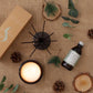 Eucalyptus & Pine Diffuser In Gift Box
